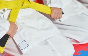 MANGER-BOUGER : A la rentrée, j'inscris mon enfant au JUDO !