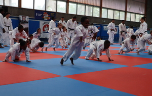 6309e06a848f1_IMG0301.JPG