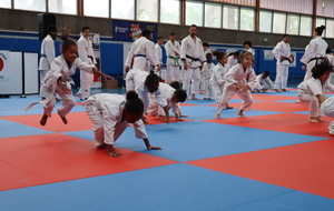 6309e0b4cceda_IMG0305.JPG