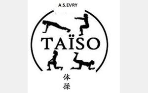 Cours en ligne Taïso /PPG