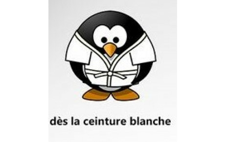 Défi Jeux - Couleurs de Ceintures